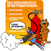 О проведении Единого дня безопасности