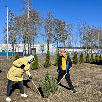 ОАО «БЕЛХИМ» приняло участие в районном субботнике Дзержинского района