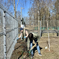 ОАО «БЕЛХИМ» приняло участие в районном субботнике Дзержинского района