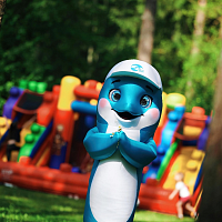 СИМВОЛ БЕЛХИМ – это ДЕЛЬФИН!